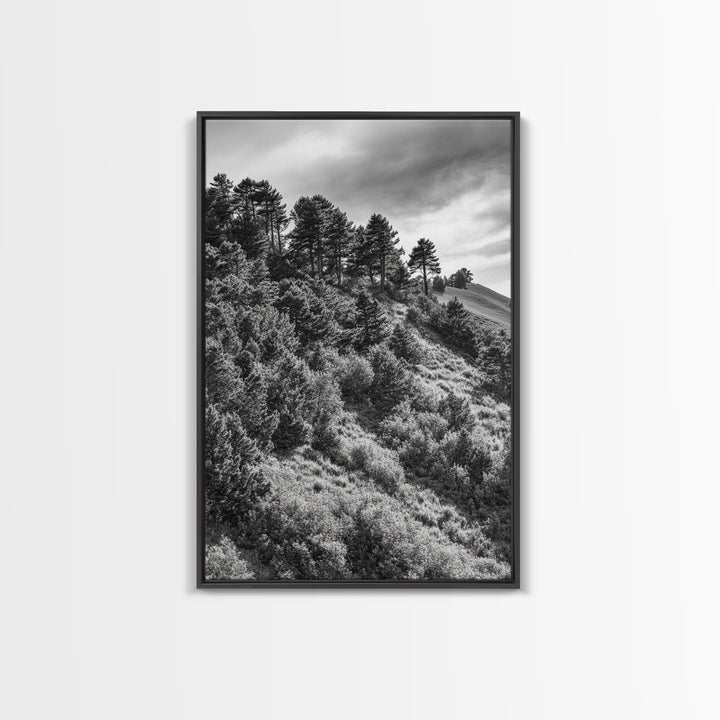 Hillside Forest, Peaceful Pines, Mountain Light, Framed Canvas Print, Nature Wall Art, Cabin Decor, Woodland Landscape Scene