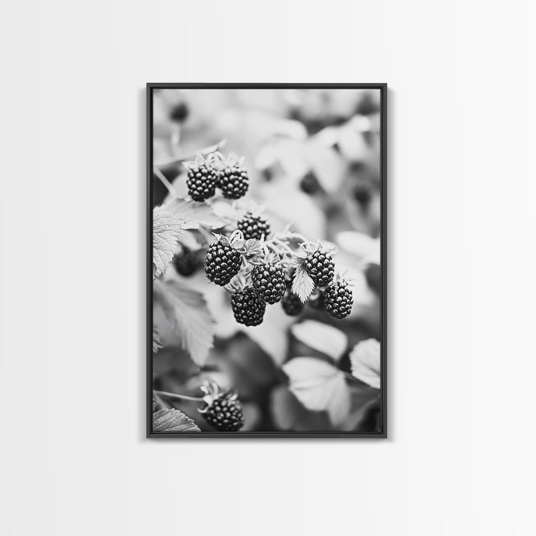 Blackberries in Bloom, Ripe Fruit Closeup, Garden Harvest, Natural Beauty, Framed Canvas Print, Farmhouse Kitchen Art, Fall Decor