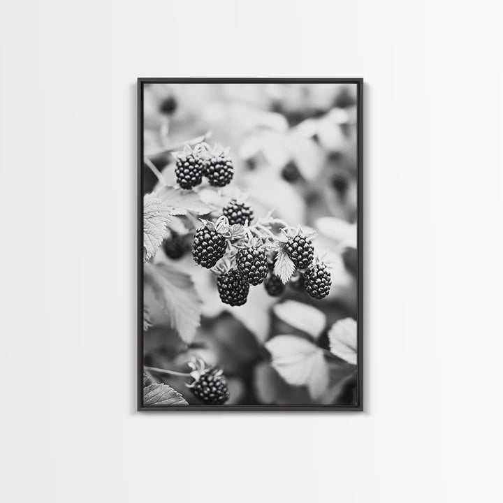 Blackberries in Bloom, Ripe Fruit Closeup, Garden Harvest, Natural Beauty, Framed Canvas Print, Farmhouse Kitchen Art, Fall Decor