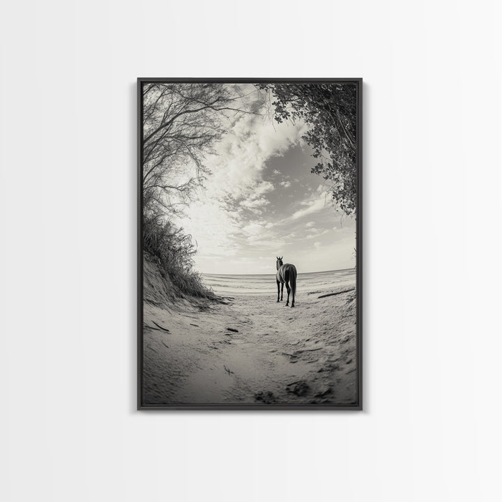 Horse on Shore, Ocean Path Scene, Wild Beauty, Serene Escape, Framed Canvas Print, Boho Wall Art, Bedroom or Entryway Decor
