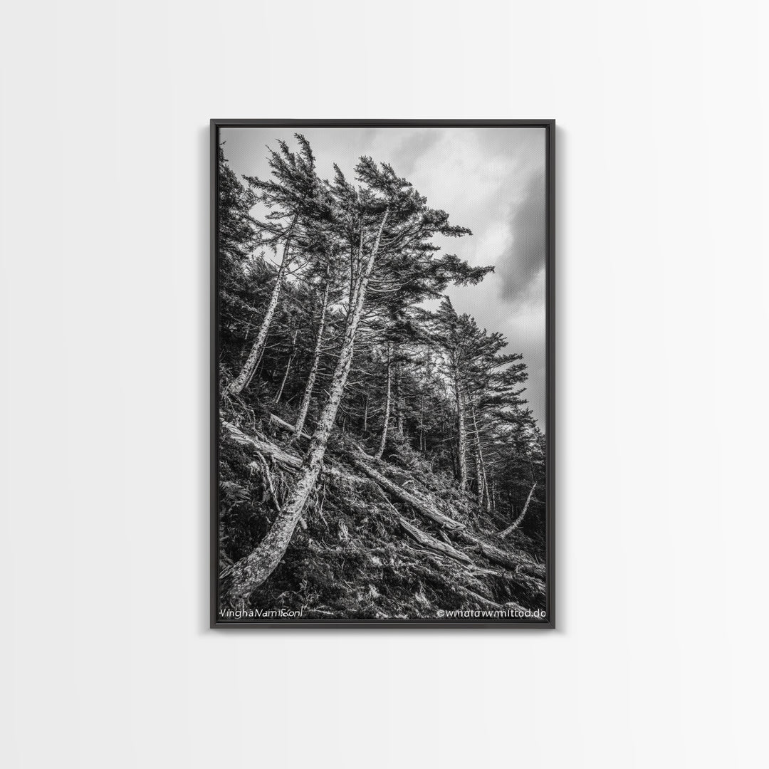 Windy Pines, Forest Landscape, Nature Photography, Framed Canvas Print, Rustic Wall Art, Cabin Decor, Minimalist Art, Fall Home Style