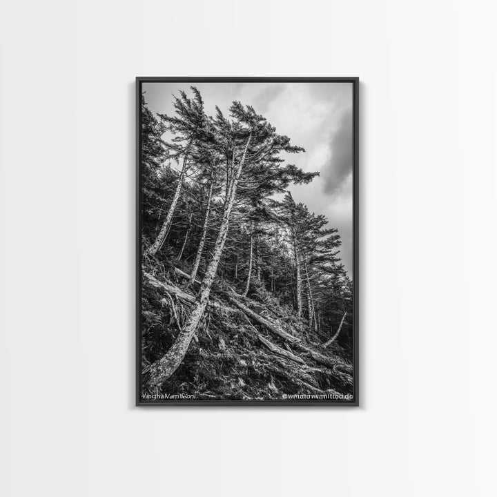 Windy Pines, Forest Landscape, Nature Photography, Framed Canvas Print, Rustic Wall Art, Cabin Decor, Minimalist Art, Fall Home Style