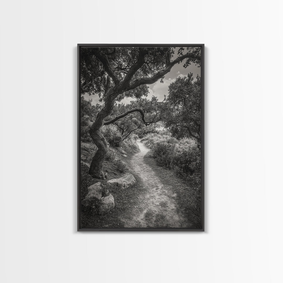Forest Path, Twisting Trees, Nature Trail Scene, Framed Canvas Print, Earthy Wall Art, Boho Woodland Decor, Entryway or Hallway Accent