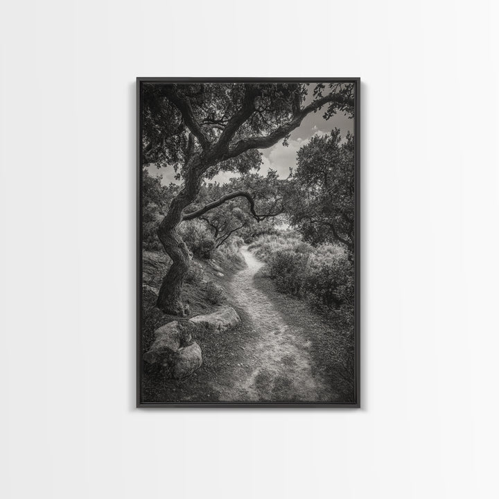 Forest Path, Twisting Trees, Nature Trail Scene, Framed Canvas Print, Earthy Wall Art, Boho Woodland Decor, Entryway or Hallway Accent