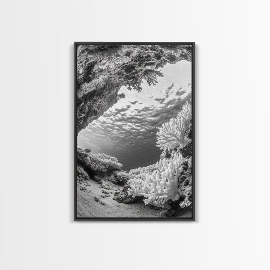 Coral Reef Underwater, Ocean Photography, Marine Nature Scene, Framed Canvas Print, Bathroom Wall Art, Coastal Minimalist Decor