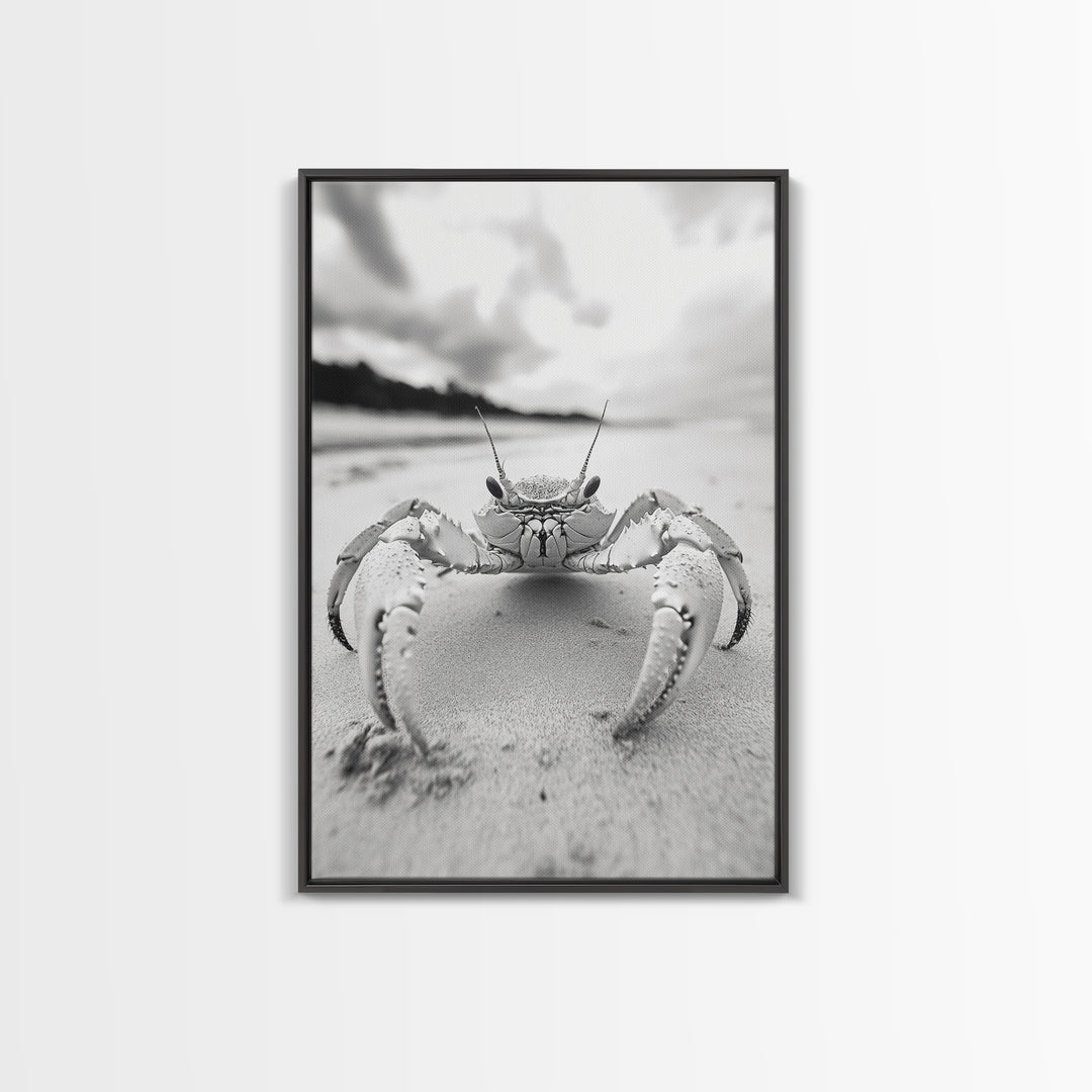 Beach Crab Portrait, Closeup Ocean Art, Tropical Minimalism, Coastal Creature Photo, Framed Canvas Print, Bathroom Wall Decor, Marine Decor