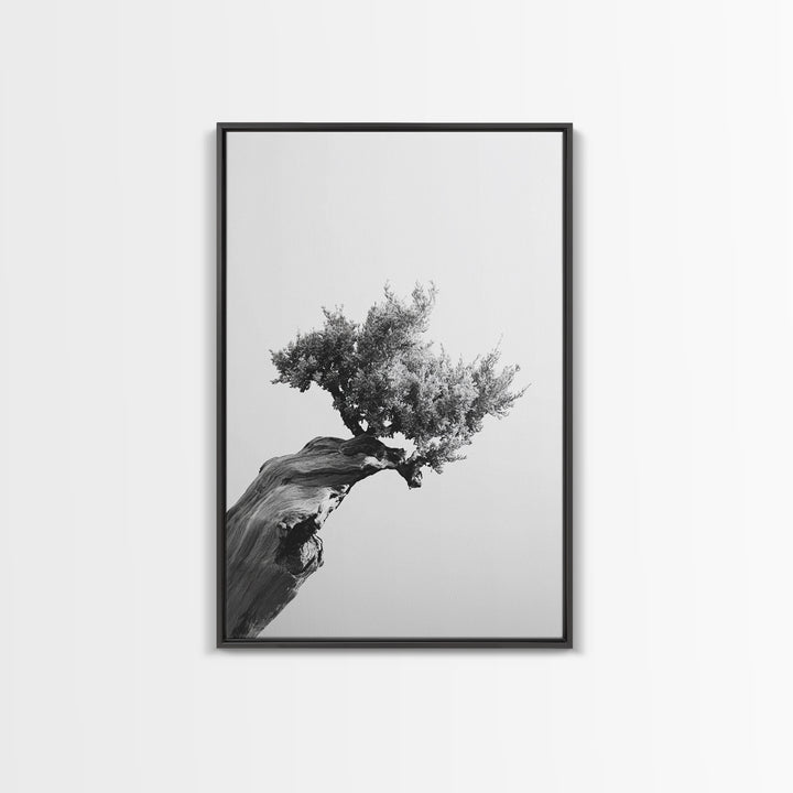 Bonsai Tree, Windswept Wood, Minimal Zen, Canvas Print, Japanese Style Art, Wabi Sabi Decor, Monochrome Botanical Wall Accent