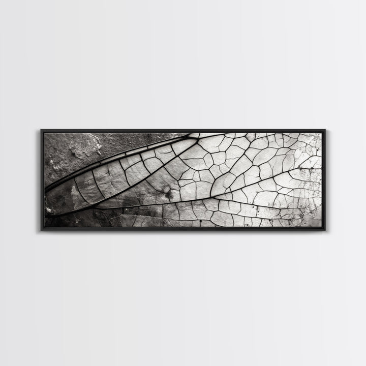 Macro Insect Wing, Abstract Nature Texture, Modern Neutral Wall Decor, Framed Canvas Print, Office Art, Monochrome Macro Photography