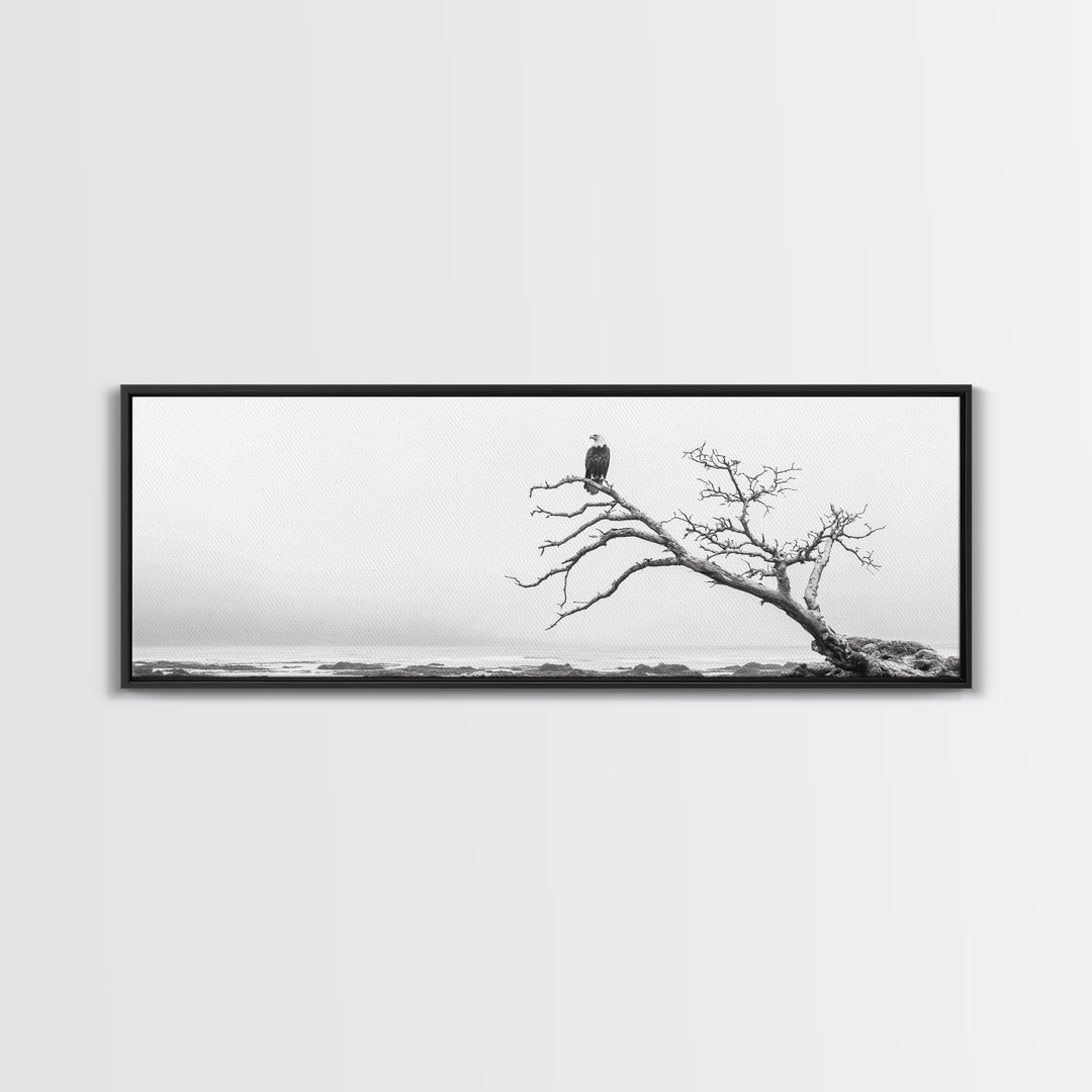 Bald Eagle, Tree Perch, Foggy Coast, Framed Canvas Print, Wildlife Photography, Cabin Wall Art, Rustic Minimalist Decor