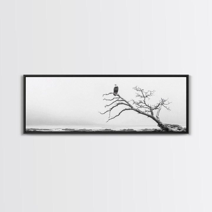 Bald Eagle, Tree Perch, Foggy Coast, Framed Canvas Print, Wildlife Photography, Cabin Wall Art, Rustic Minimalist Decor