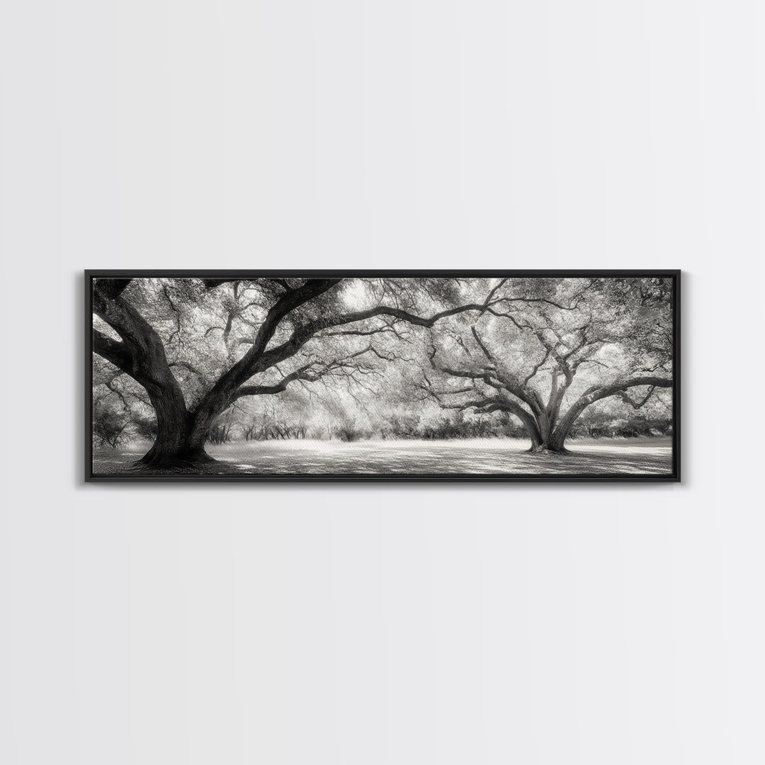 Sprawling Trees, Oak Forest, Sunlit Canopy, Majestic Branches, Canvas Print, Nature Wall Art, Boho Decor, Living Room Statement Piece