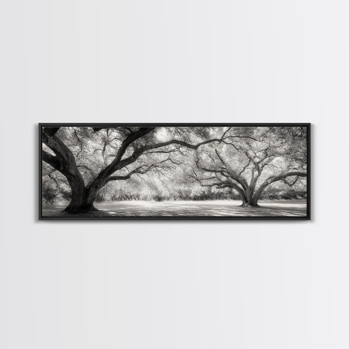 Sprawling Trees, Oak Forest, Sunlit Canopy, Majestic Branches, Canvas Print, Nature Wall Art, Boho Decor, Living Room Statement Piece