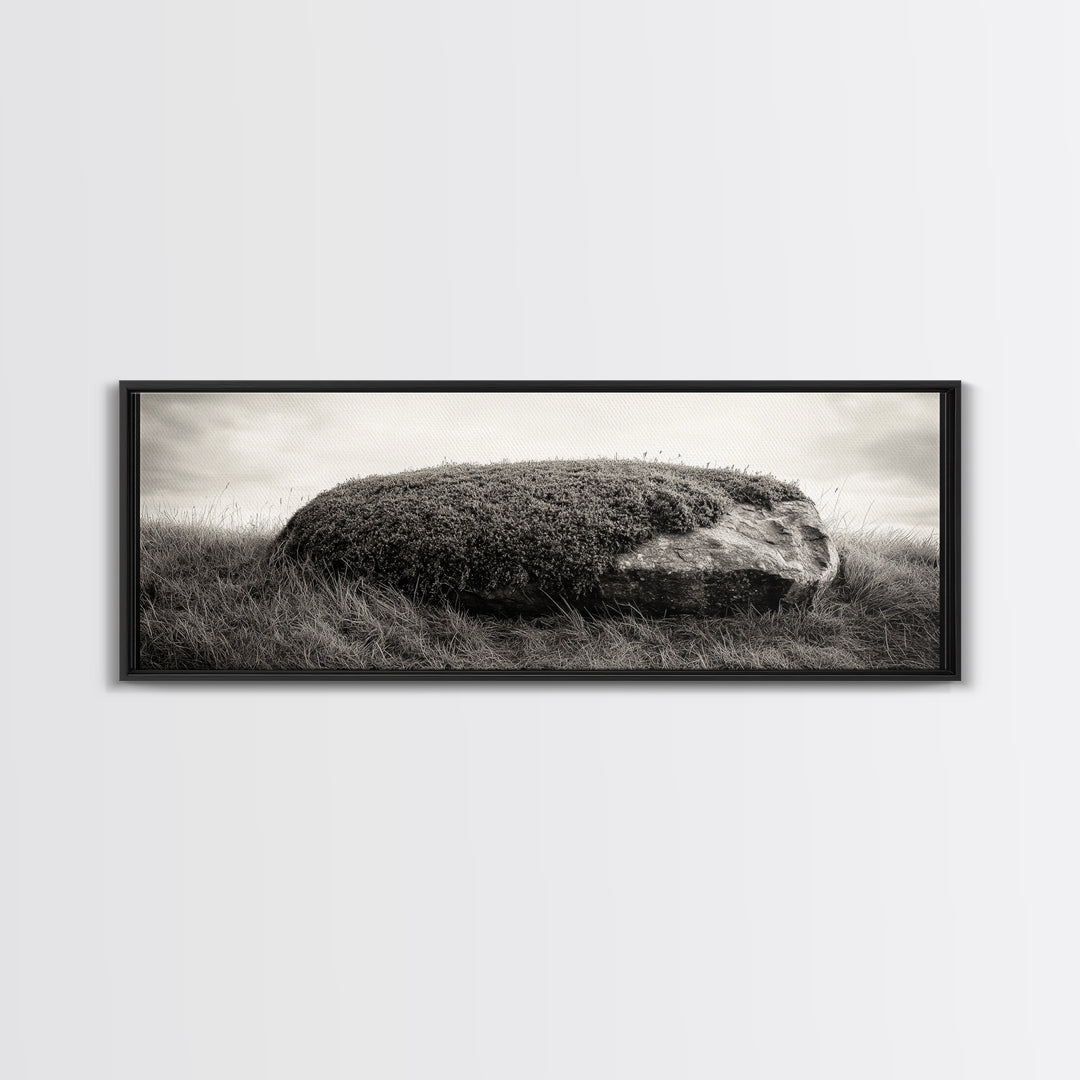 Heather Rock, Grassy Field, Natural Simplicity, Earthy Tones, Canvas Print, Rustic Home Decor, Minimalist Nature Wall Art, Fall Inspired Art