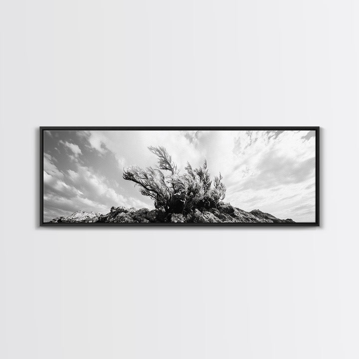 Windswept Kelp Rock, Ocean Botanical, Nature Inspired Canvas Print, Boho Style Art, Bathroom Wall Art, Sea Life Photography