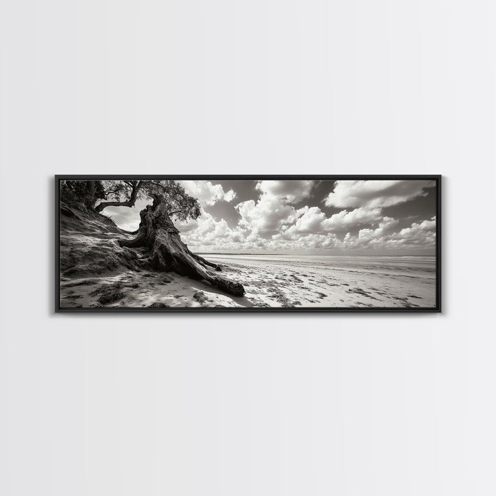 Coastal Tree Roots, Windswept Beach, Natural Form, Framed Canvas Print, Boho Wall Art, Entryway Decor, Beach House Aesthetic