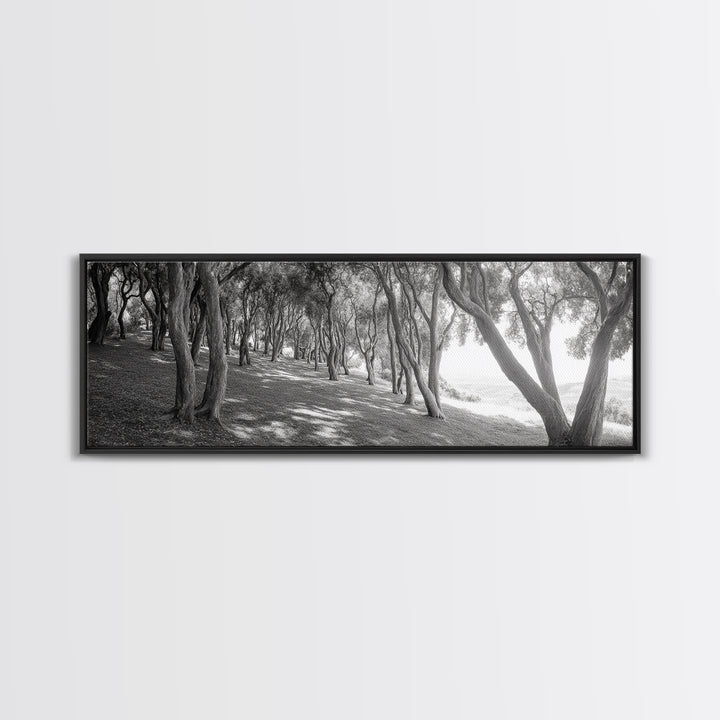 Forest Path, Tree Tunnel, Light Shadows, Woodland Magic, Framed Canvas Print, Nature Lover Gift, Entryway Wall Art, Modern Rustic Style