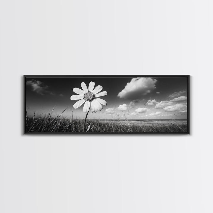 Daisy Flower, Single Bloom, Coastal Breeze, Minimal Wall Decor, Framed Canvas Print, Boho Bedroom Art, Nature Inspired Photography