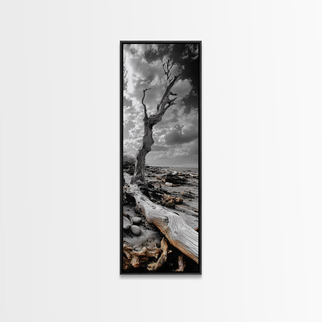 Weathered Tree, Coastal Roots, Dramatic Sky, Natural Form – Canvas Print, Living Room Wall Art, Monochrome Photography, Driftwood Decor