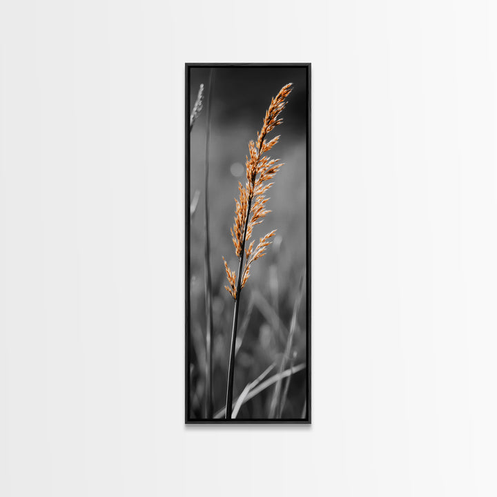 Autumn Grass, Botanical Print, Nature Photography, Single Stem, Canvas Print, Fall Wall Art, Neutral Home Decor, Minimalist Living Room Art