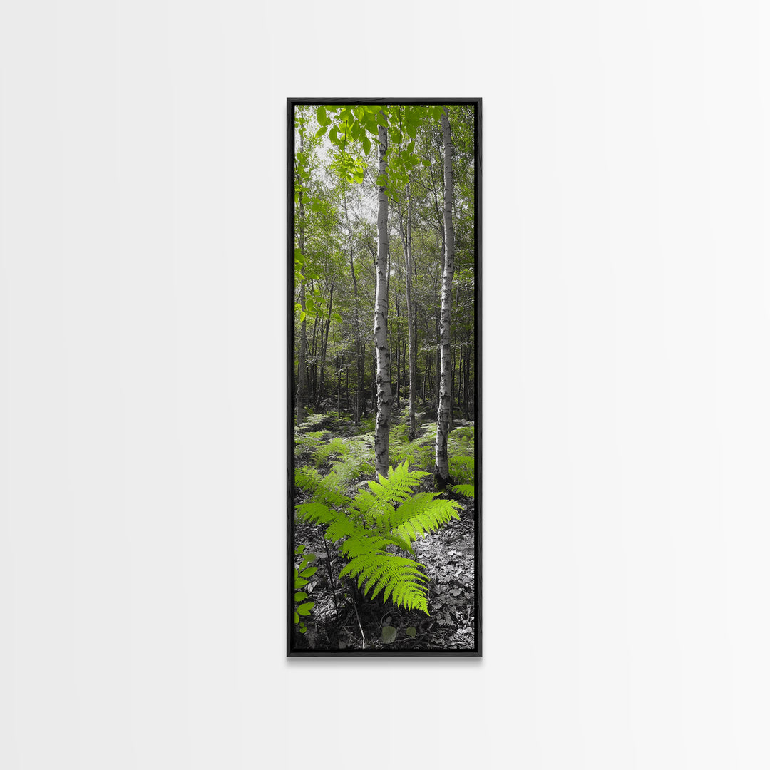 Birch Tree Forest, Green Ferns, Nature Escape, Framed Canvas Print, Botanical Art, Eco Wall Decor, Zen Forest Scene, Serene Living Room
