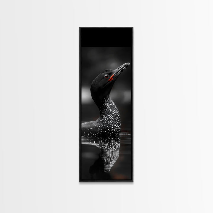 Loon Bird, Red Eye, Monochrome Wildlife, Nature Framed Canvas Print, modern living room wall art, black and white animal art