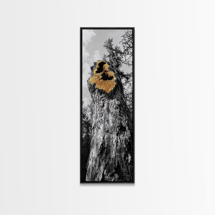 Tree Hollow, Forest Texture, Nature Decay, Golden Bark, Framed Canvas Print, Rustic Wall Art, Cabin Living Room Art, Woodland Decor