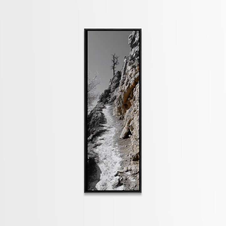 Cliff Pathway Art, Nature Trail Scene, Monochrome Rustic Landscape, Framed Canvas Print, Mountain Cabin Entryway Wall Decor