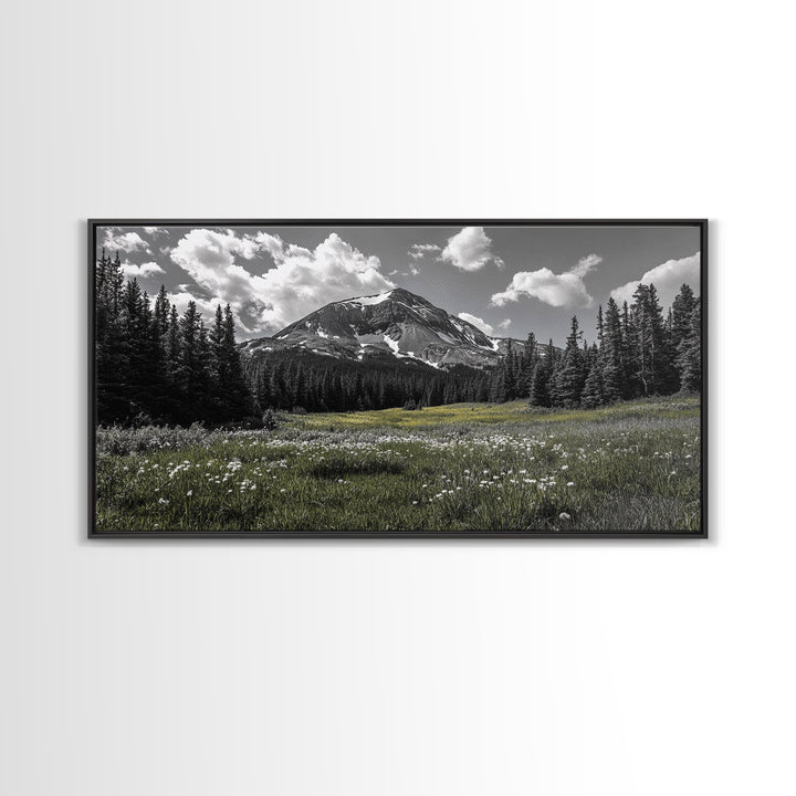 Mountain, Meadow, Wildflowers, Alpine meadow bloom and majestic peak on this Framed Canvas Print, serene Nature Wall Art for Entryway