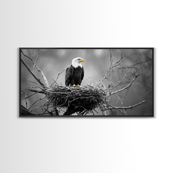 Bald Eagle, Monochrome Nature, Wildlife Photography, Fierce Majesty, Framed Canvas Print, Office Wall Art, Black White Bold Bird Scene