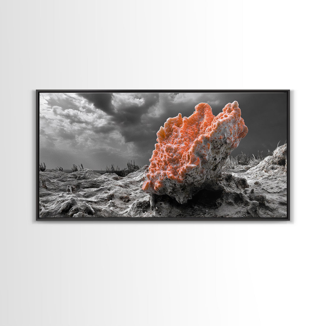 Coral Texture Art, Desert Coral Print, Earthy Organic Decor, Vibrant Nature Scene, Framed Canvas Print, Living Room Wall Art, Natural Art