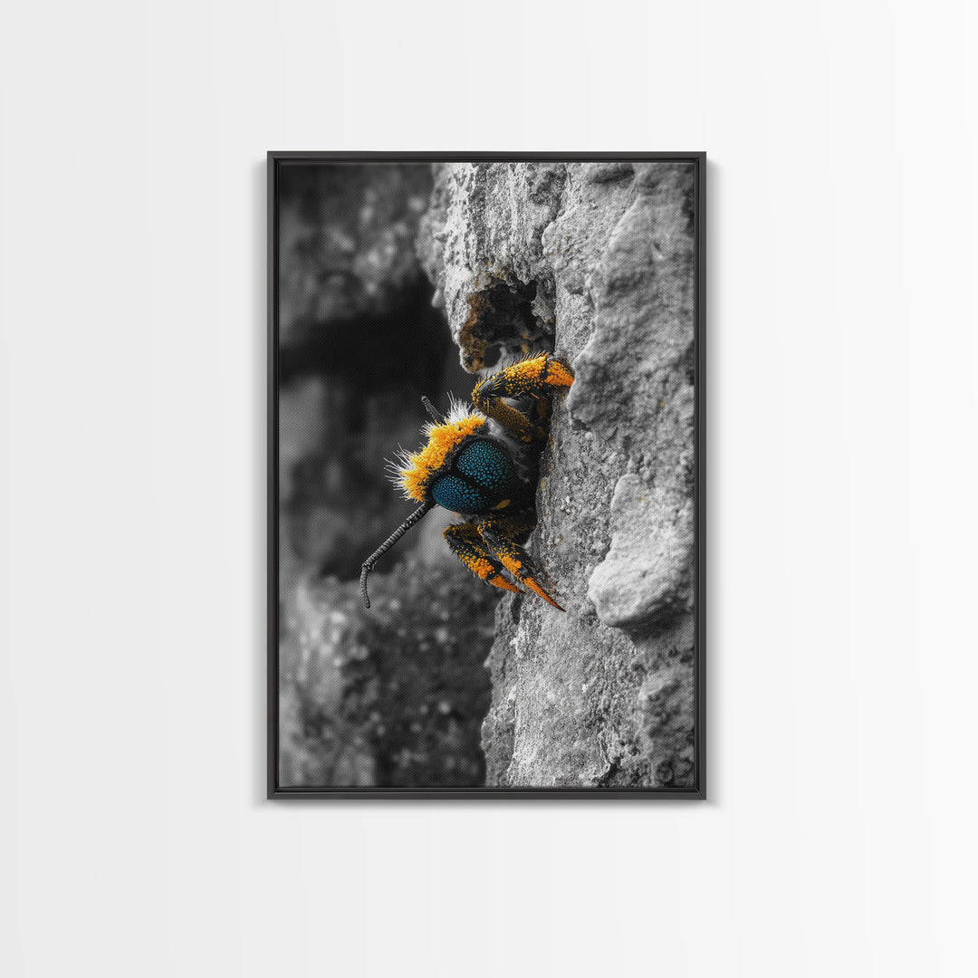 Fuzzy Bee Closeup, Insect Macro, Nature Texture, Framed Canvas Print, Wildlife Wall Art, Entomology Decor, Nature Photography