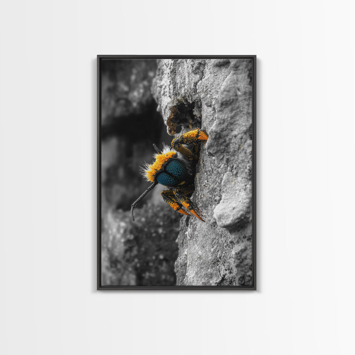 Fuzzy Bee Closeup, Insect Macro, Nature Texture, Framed Canvas Print, Wildlife Wall Art, Entomology Decor, Nature Photography
