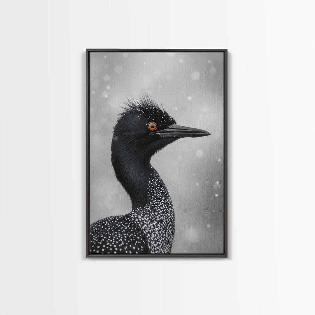 Black Loon, Bird Closeup, Snowy Glow, Winter Nature Canvas Print, Wildlife Wall Art, Modern Bedroom Decor, Birdwatcher Gift Print