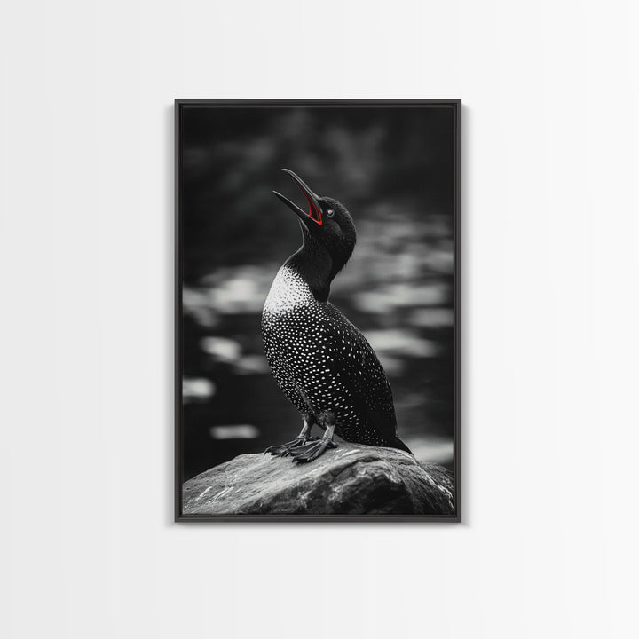 Loon Call, Singing Bird, Red Beak, Monochrome Framed Canvas Print, Wildlife Wall Decor, Bird Lover Wall Art, Rustic Cabin Accent