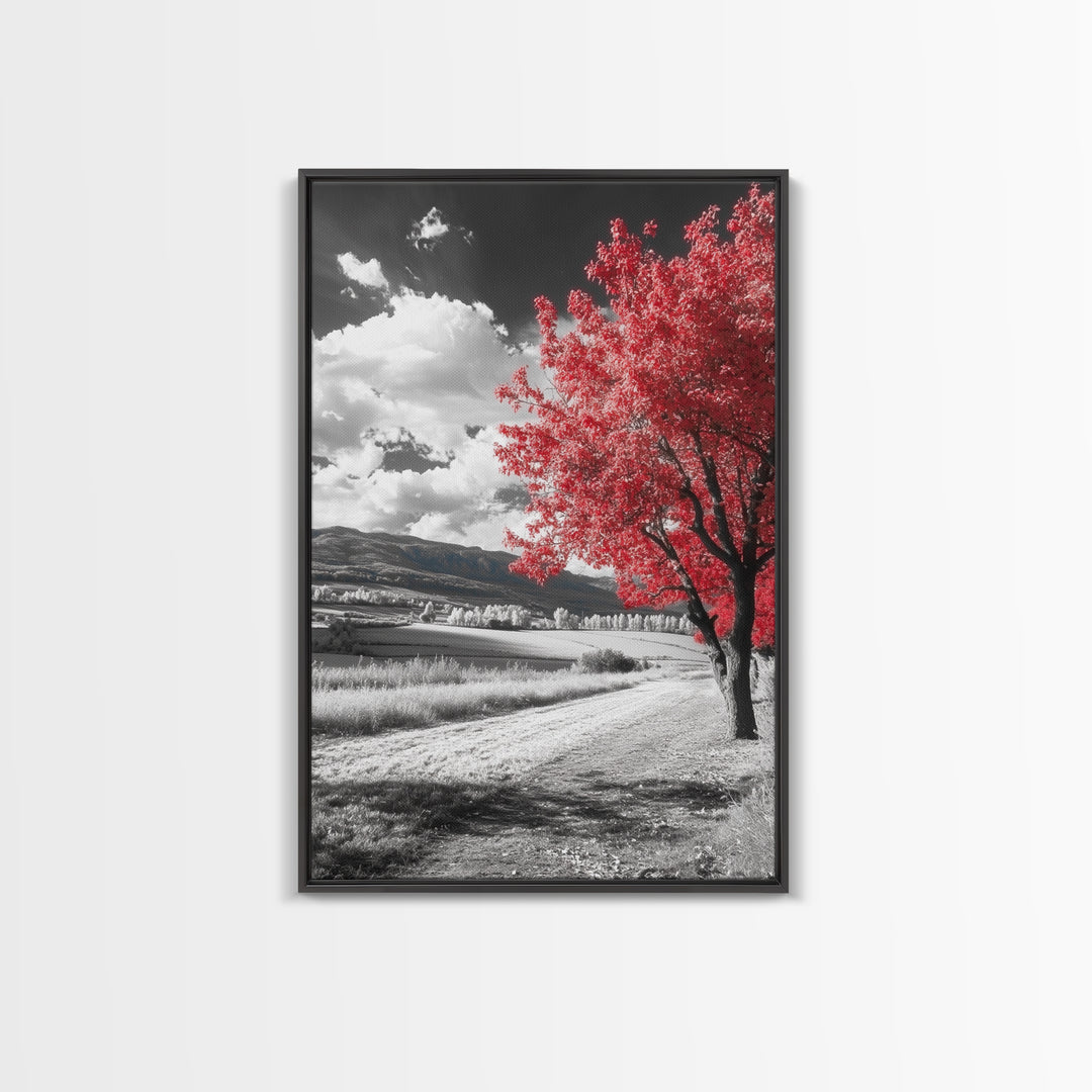 Autumn Red Tree, Scenic Road, Countryside Field, Framed Canvas Print, Fall Wall Art, Rustic Home Decor, Nature Photography, Office Accent