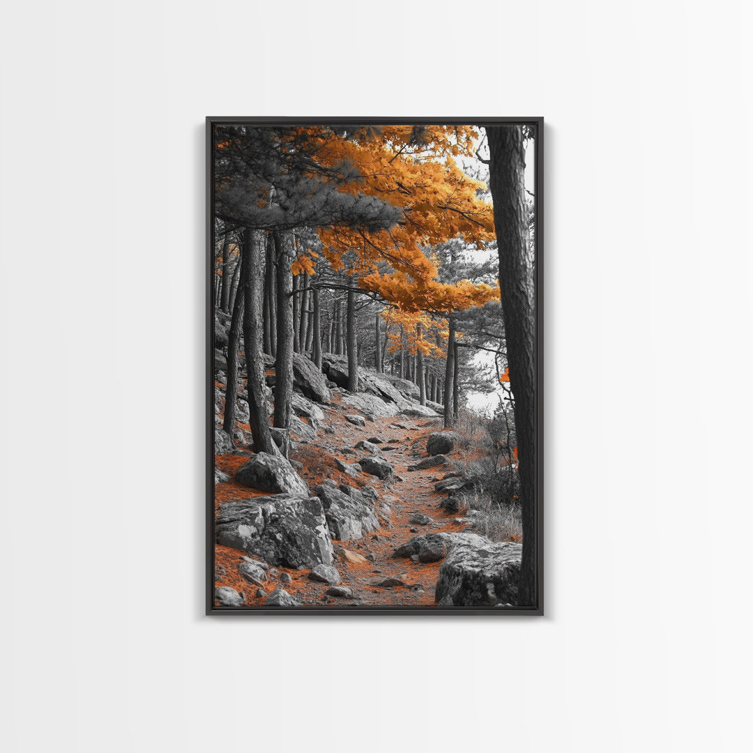 Autumn Forest Path, Orange Leaves, Rocky Woods Trail, Tranquil Nature, Framed Canvas Print, Fall Decor, Cabin Wall Art, Rustic Style