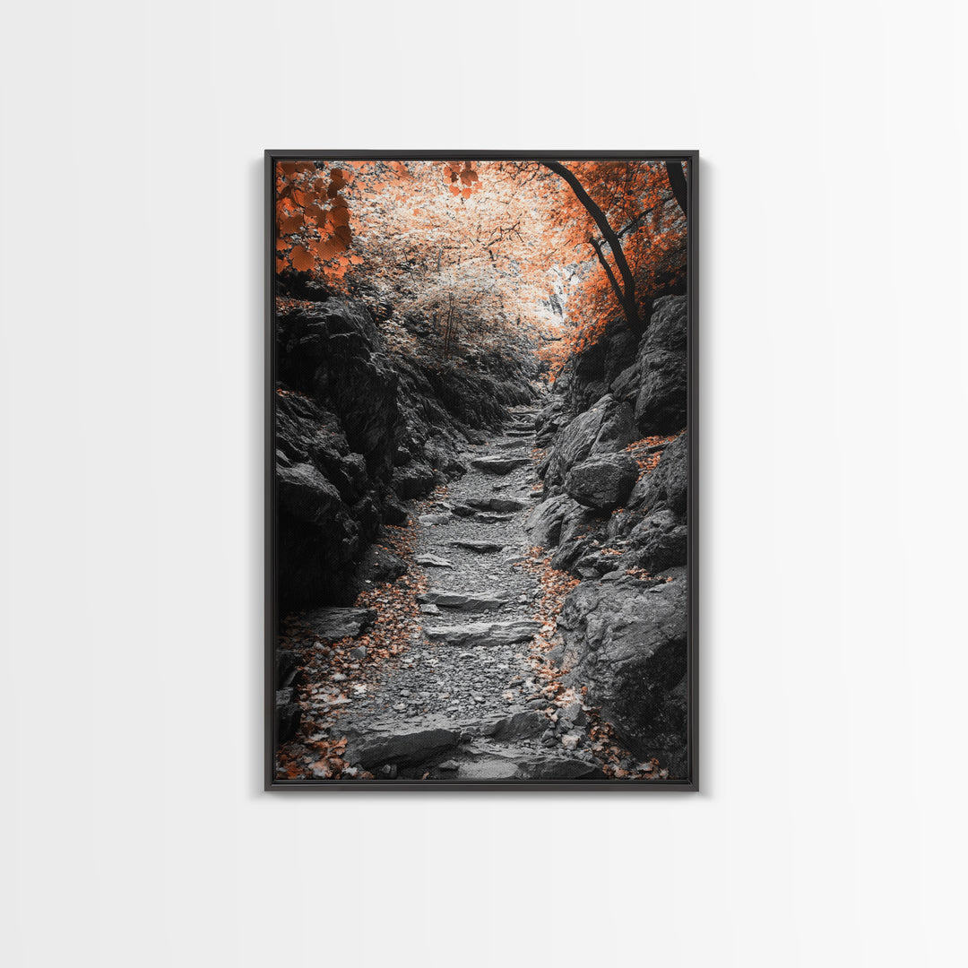 Rocky Trail, Autumn Leaves, Forest Path, Framed Canvas Print, Fall Nature Wall Art, Rustic Entryway Decor, Hiking Landscape Art