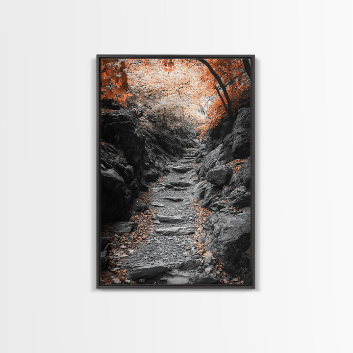 Rocky Trail, Autumn Leaves, Forest Path, Framed Canvas Print, Fall Nature Wall Art, Rustic Entryway Decor, Hiking Landscape Art