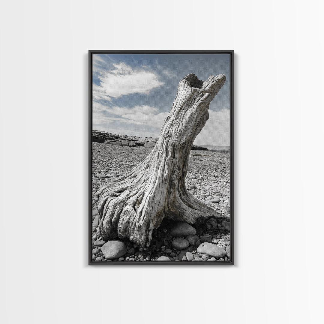 Coastal Driftwood, Beach Stump, Pebble Shore, Framed Canvas Print, Rustic Wall Art, Bathroom Decor, Earthy Beach House Accent