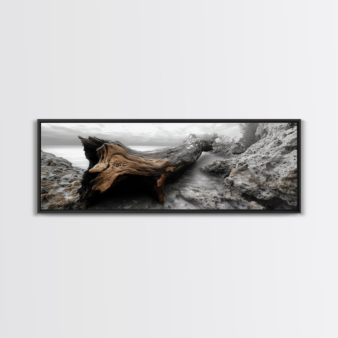 Driftwood Coast, Ocean Roots, Washed Ashore, Beach Texture — Canvas Print, Coastal Decor, Bathroom Wall Art, Monochrome Nature Photography