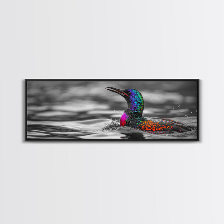 Colorful Loon, Rainbow Feathers, Water Splash, Unique Wildlife, Framed Canvas Print, Bathroom Wall Art, Eclectic Style, Birdwatcher Gift