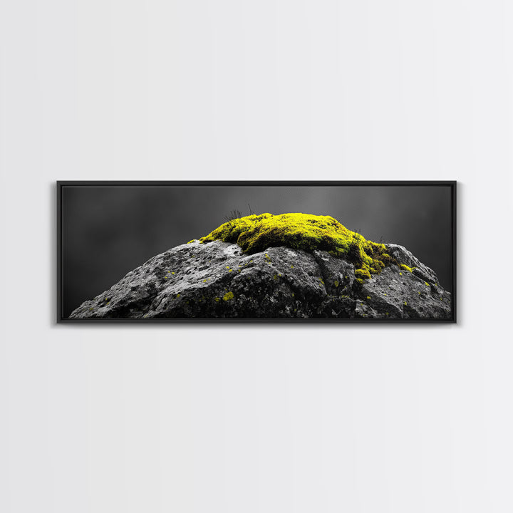Yellow Moss, Stone Detail, Minimal Nature, Framed Canvas Print, modern zen wall art, earthy bathroom decor, botanical accent