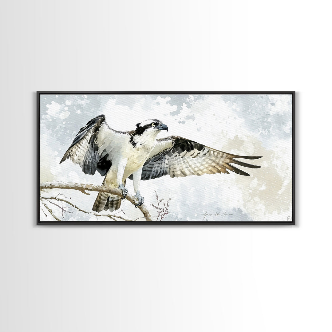Landing Osprey On Winter Branch Canvas Print, Watercolor Hawk Wall Art, Rustic Nature Decor, Bird Lover Housewarming Gift