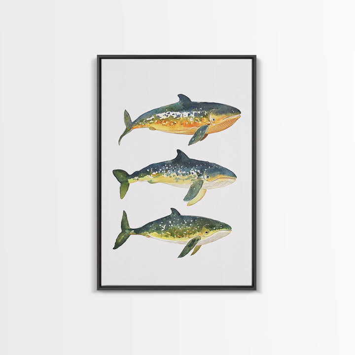 Three Colorful Whales Canvas Print, Marine Life Wall Art, Ocean Animal Art Print, Coastal Nursery Decor, Whale Lover Gift