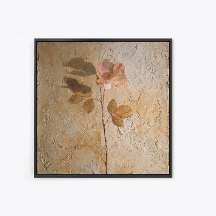 Tonal Botanical Shadows on Plaster Surface Canvas Print, Above Bed Art, Photography Prints, Bedroom Decor, Serenity, ABA-1x1-71