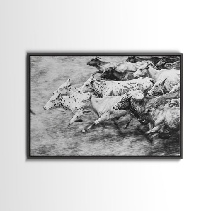 Black And White Running Cattle Wall Art, African Safari Animal Print, Rustic Farmhouse Decor, Western Herd Canvas Artwork