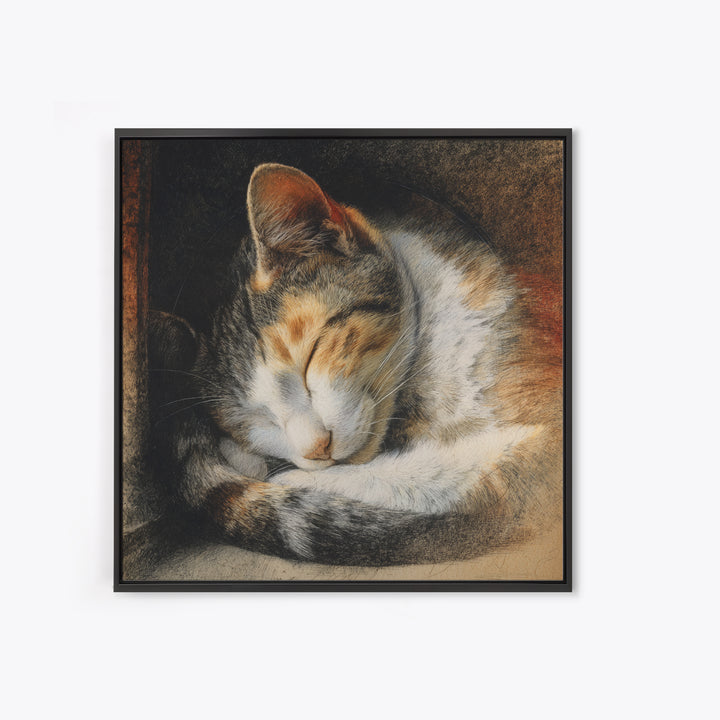 Sleeping Cat Curled Canvas Print, Animal Art, Nursery, Living Room Decor, Fine Art, Creature, Modern Decor, Fine Art Print, ANI-1x1-60