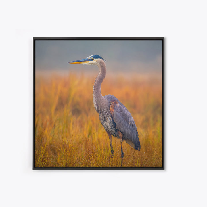 Blue Heron Standing Framed Canvas Print, Animal Art, Statement Artwork, Living Room Decor, Fine Art, Creature, Wall Decor, ANI-1x1-83