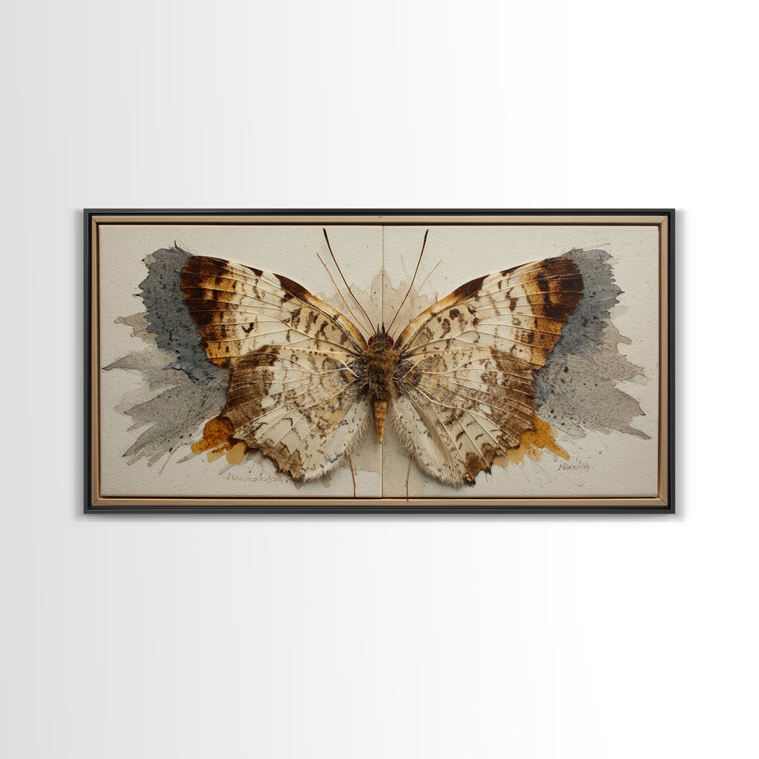 Butterfly Specimen Composition Framed Canvas Print, Animal Art, Digital Prints, Living Room Decor, Fine Art, Creature, ANI-2x1-43