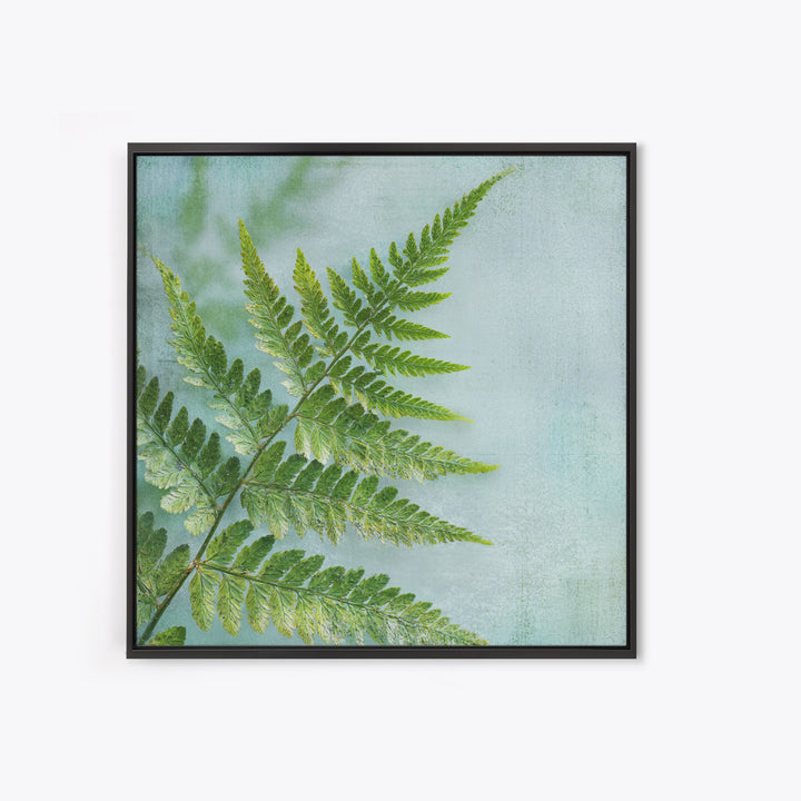 Green Fern Frond Closeup Canvas Print, Bathroom Art, Bathroom Prints, Bathroom Decor, Fine Art, Spa, Trendy Wall Art, BAT-1x1-10